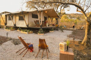 Glamping Tepoztlan Azomalli